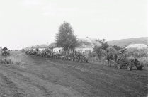 Колонна немецкого конного обоза движется через белгородское село, 1943 год. Источник: http://waralbum.ru