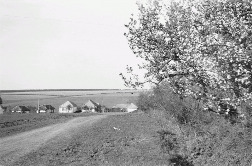 Вид на сад, дорогу и оккупированное белгородское село, 1943 год. Источник: http://waralbum.ru